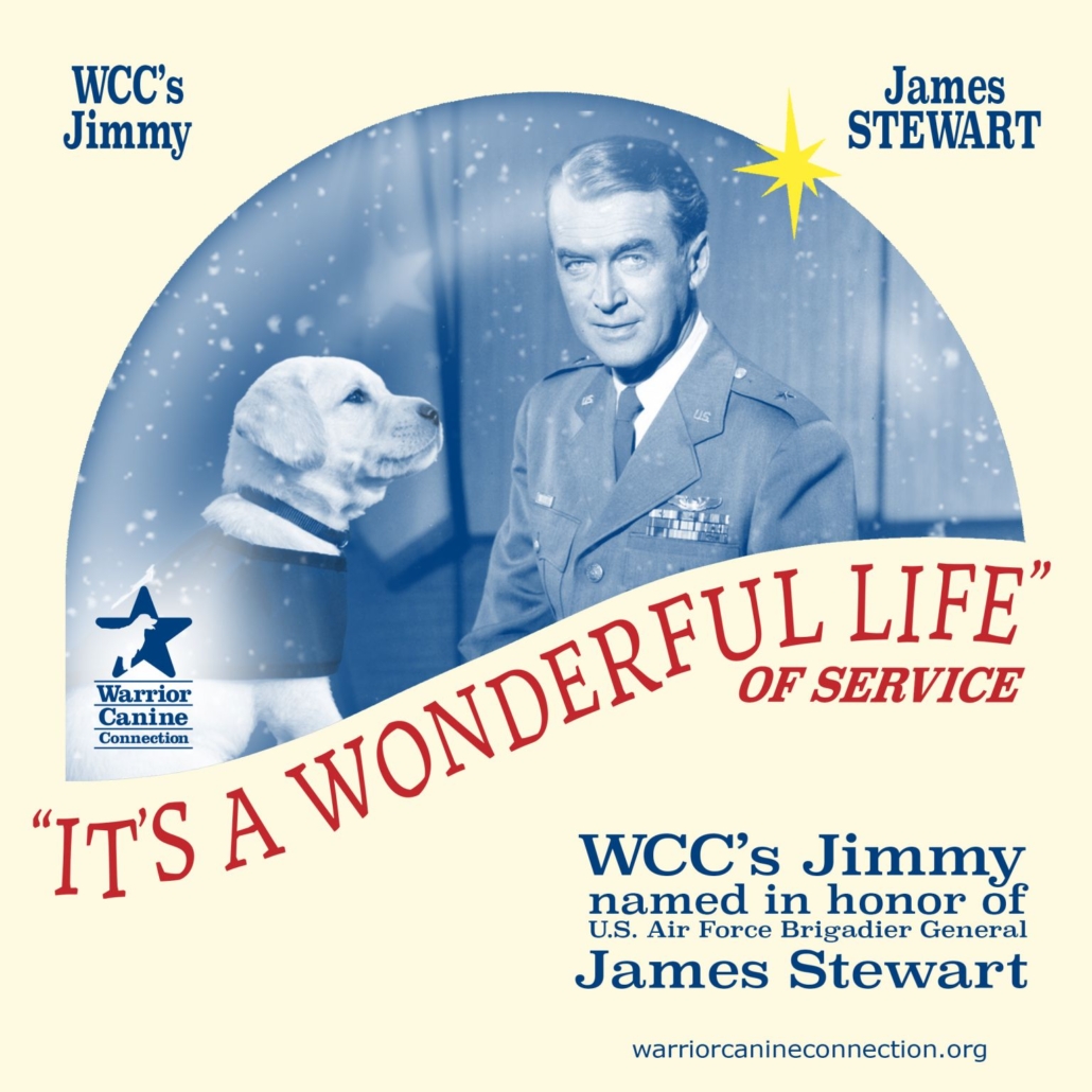 Furry Yuletide Tribute Warrior Canine Connection Honors Hollywood