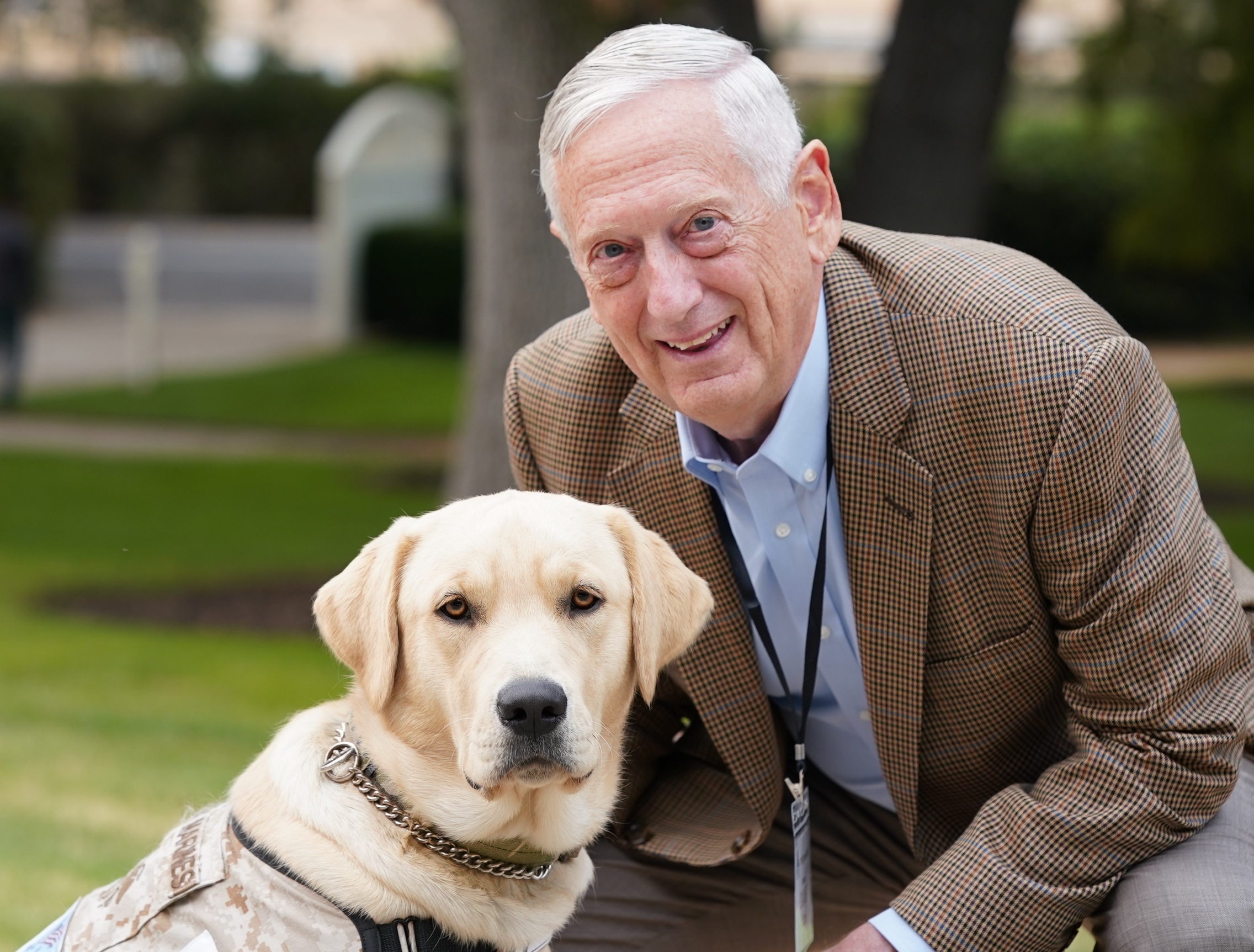 Training service dogs for military members is therapy for veterans at  Penn's new program